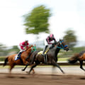 Spectator Facilities at Pleasanton CA Racing Competition - An Unforgettable Experience