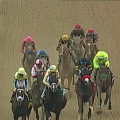 The Thrilling Horse Racing Experience at Pleasanton Racecourse