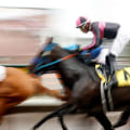 Experience the Thrill of Horse Racing in Pleasanton, CA